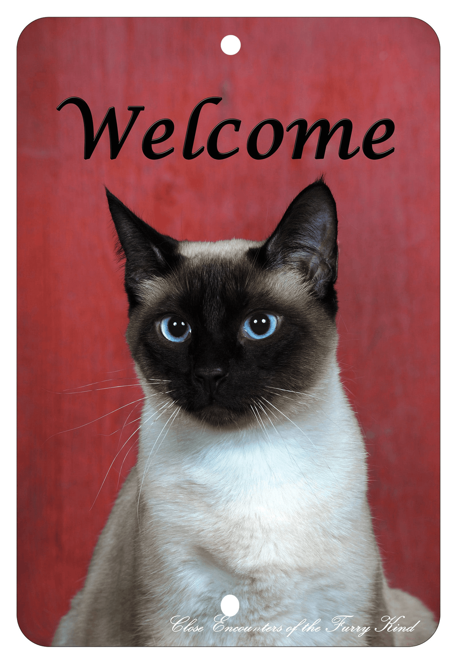 Siamese Cat Best Of Breed Aluminium Sign - Indoor/Outdoor 8" X 12"