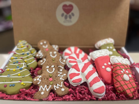 Dog Holiday Christmas Cookies 12 pack case
